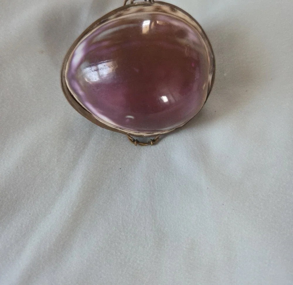 Purple Vintage Shell Coin Brass Purse